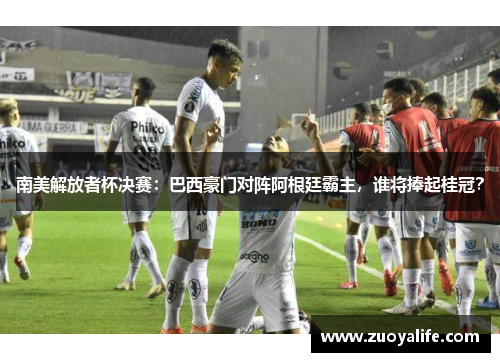 南美解放者杯决赛：巴西豪门对阵阿根廷霸主，谁将捧起桂冠？