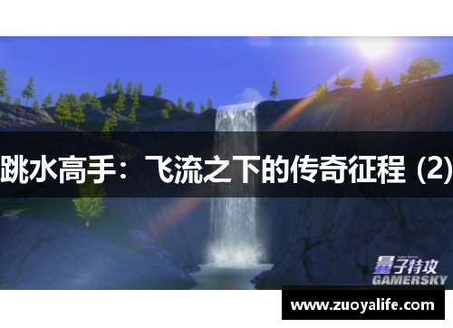 跳水高手：飞流之下的传奇征程 (2)